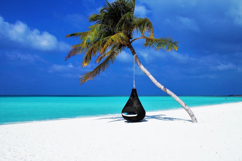 Hanging Hammock